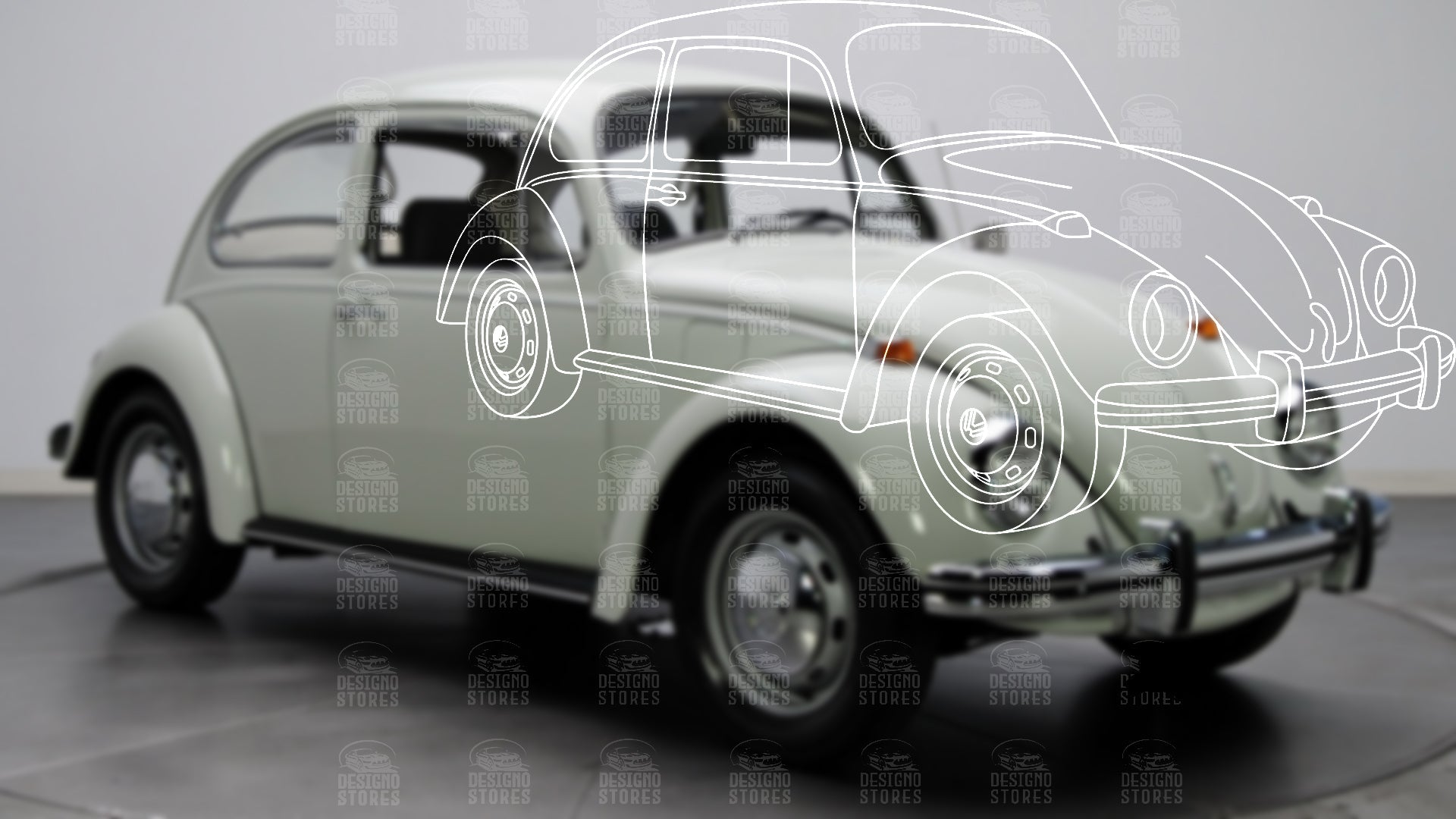 Old beetles
